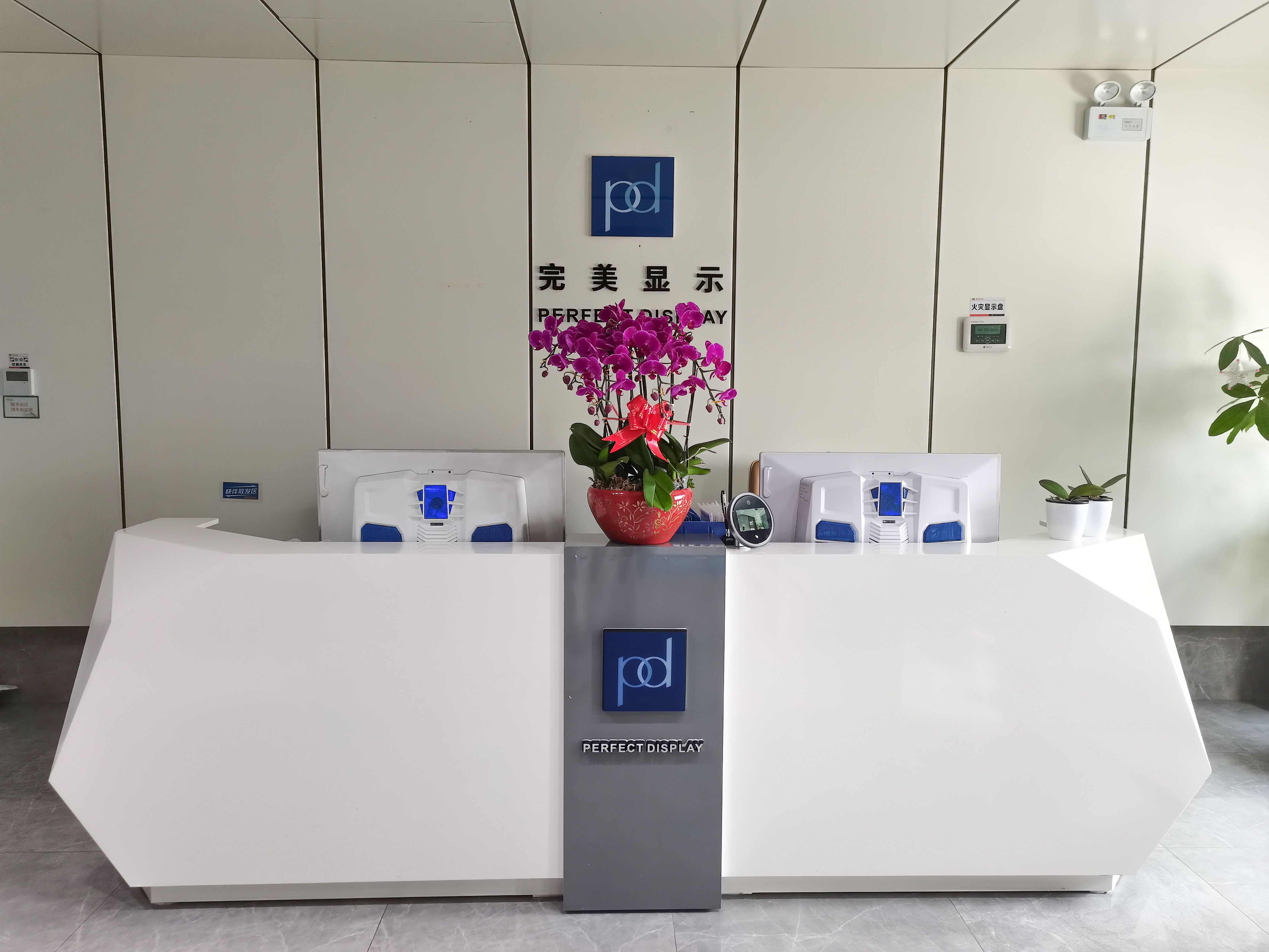 PERFECT DISPLAY TECHNOLOGY CO LTD
